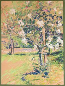 Apple Blossom. Oil on board. 30" x 20".